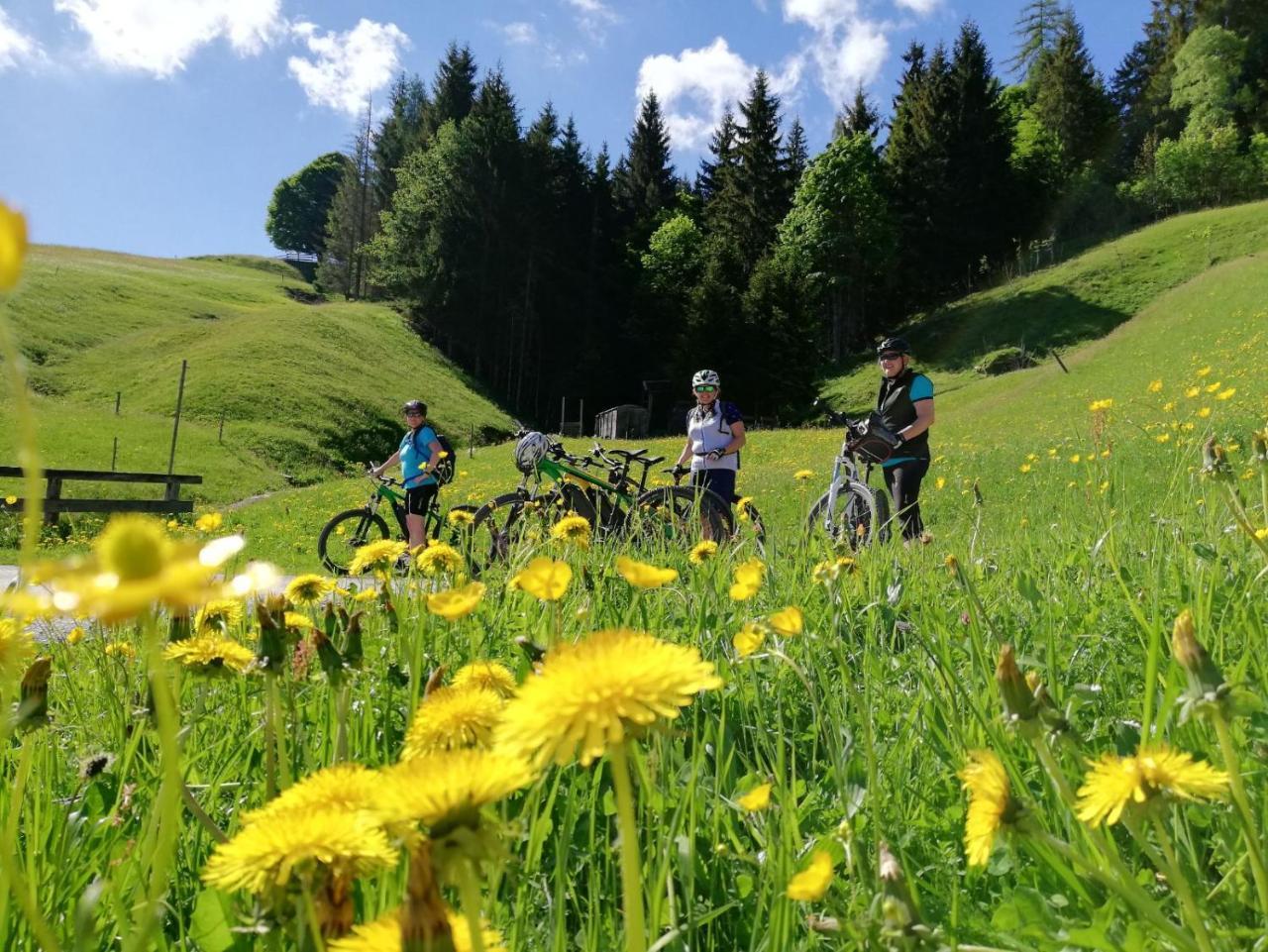 Pension Edelweiss Breitenbach am Inn エクステリア 写真