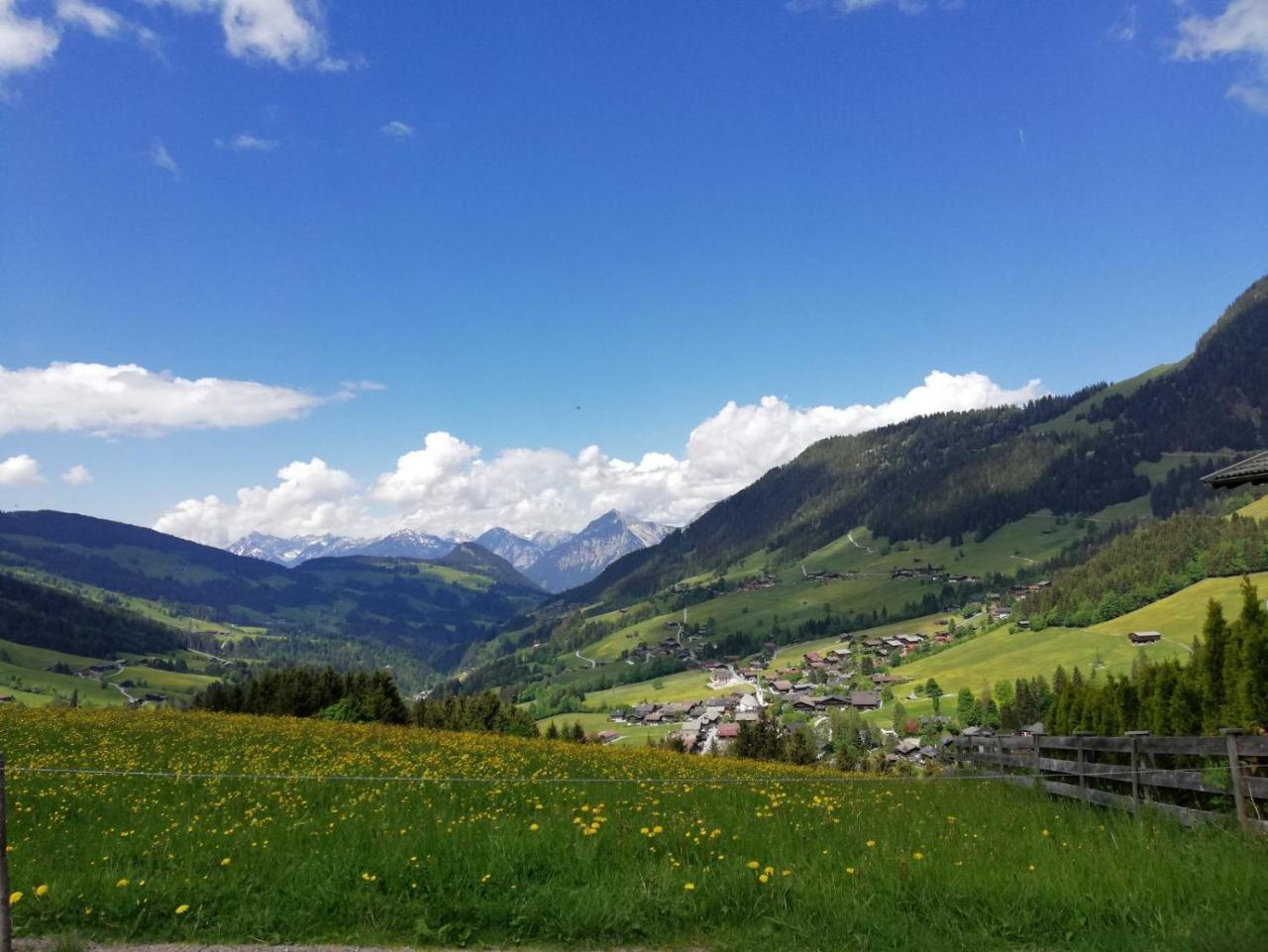 Pension Edelweiss Breitenbach am Inn エクステリア 写真